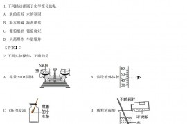 2020年四川省巴中市中考化学真题及答案