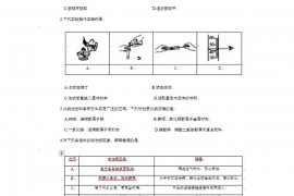 2023宁夏中考化学真题