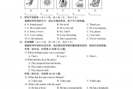 2020年海南省五指山市中考英语试题及答案