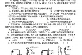 2007年初中化学素质和实验能力竞赛山东初赛试题