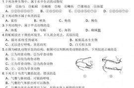 人教版八年级上册生物期中考试试卷