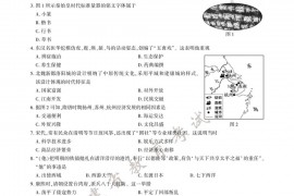 2020年福建中考历史试题及答案