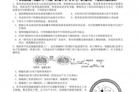 沈阳二中2022-2023学年度下学期第五次模拟考试高三（23届）生物试题