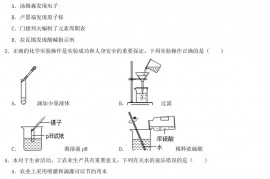 2022年山东烟台中考化学试题及答案