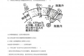 2020年山东省广饶县第一中学高三生物二模试题及答案