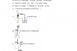 2022-2023学年广东省中山市纪念中学、火炬一中九年级（上）段考化学试卷