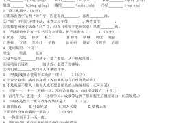 2020年湖南省郴州市小升初语文真题及答案