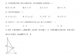 2019北京陈经纶中学初二（上）期中数学