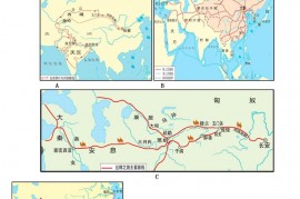 2021年上海金山中考历史试题及答案