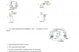 2023年湖南省衡阳市衡南一中中考化学质检试卷