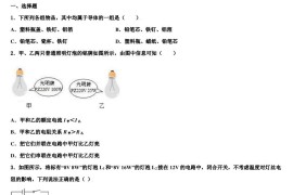 2023年北大附中九年级物理第一学期期末调研模拟试题