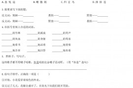 2019年河南省安阳市林州市小升初语文真题及答案