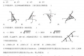 郑州外国语中学2021-2022学年八年级上期开学测试数学试卷