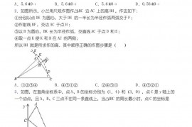 2020-2021河南省实验中学八年级数学上期末试卷及答案