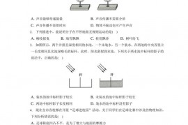 2020-2021学年湖南师大附中高一（上）入学物理试卷