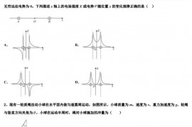 2022-2023学年北京一零一中学下学期高三物理试题周练4