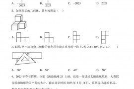 2023年河南省实验中学中考一模数学试题