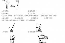 2022年四川成都中考化学真题及答案