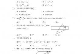 2019-2020学年河北省石家庄二中七年级下期中数学试卷