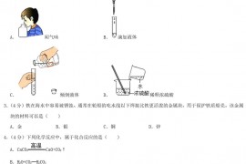 2020浙江省台州市中考化学真题及答案