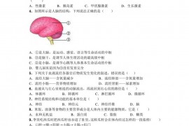 武威九中2023年秋学期八年级开学考试生物试卷(含答案)