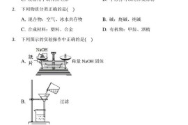 2021年河南省郑州外国语学校中考化学一模试卷