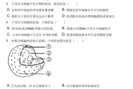 2021-2022学年福建省厦门市高一(上)期末生物试卷(含答案解析)