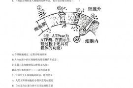 2021届邯郸市广平县第一中学高三生物期中试卷及答案解析