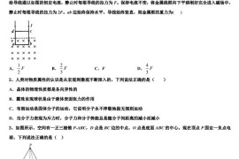 2023届北京市朝阳陈经纶中学高三综合模拟考试物理试题