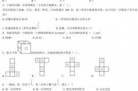 2020年上海杨浦初级中学小升初数学真题及答案