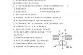 2022-2023学年湖南省衡阳市衡阳四中高一（上）期中生物试卷（A卷）