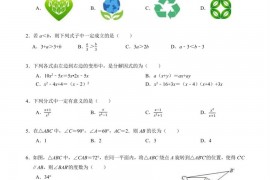 深圳实验学校中学部2020-2021学年第二学期八年级期中考试数学试卷