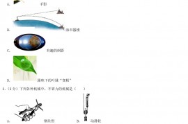 2020年湖北省十堰市中考物理真题及答案