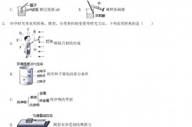 2020浙江省绍兴市中考化学真题及答案