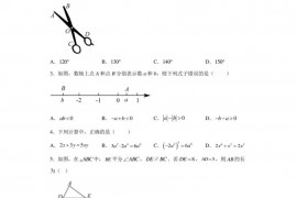 2023年陕西省西安市行知中学中考五模数学试卷