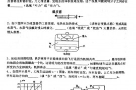 2021年河南省河师大第三次模拟试卷物理