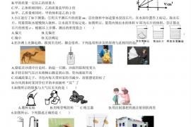 2021-2022学年深圳外语学校九年(上)期中物理试卷