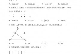 2023年北京市育才学校中考零模数学试卷