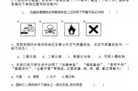 2004年全国初中奥林匹克化学竞赛复赛试题