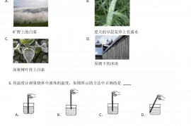 2022年北京市海淀区八年级上学期期末物理试卷(含答案)