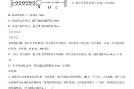 人大附中2021～2022学年度第二学期高一年级物理期末练习和答案