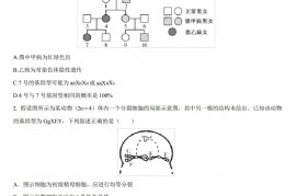 2021届新中高级中学高三生物二模试题及答案