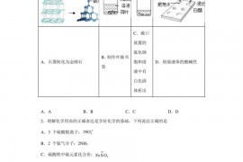 2022年广东省深圳市罗湖区深圳中学中考一模化学试题