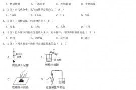 2021年广西百色中考化学真题及答案