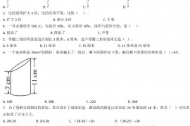 2020年上海民办杨浦实验学校小升初数学真题及答案