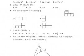 福建省厦门市思明区双十中学2020届中考数学二模试卷