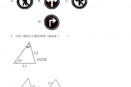 安徽省合肥市合肥一六八中学2021-2022学年八年级上学期期末数学试题