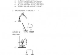 湖南省长沙市南雅实验中学九年级（下）期中化学试卷