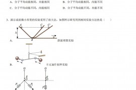 2021-2022学年上海市嘉定区高三(上)期末物理试卷(一模)【答案版】