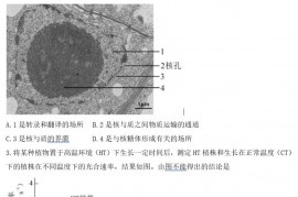 2021年北京高考生物试题及答案